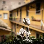 Sweet Campo De Fiori